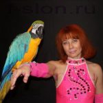 parrot19